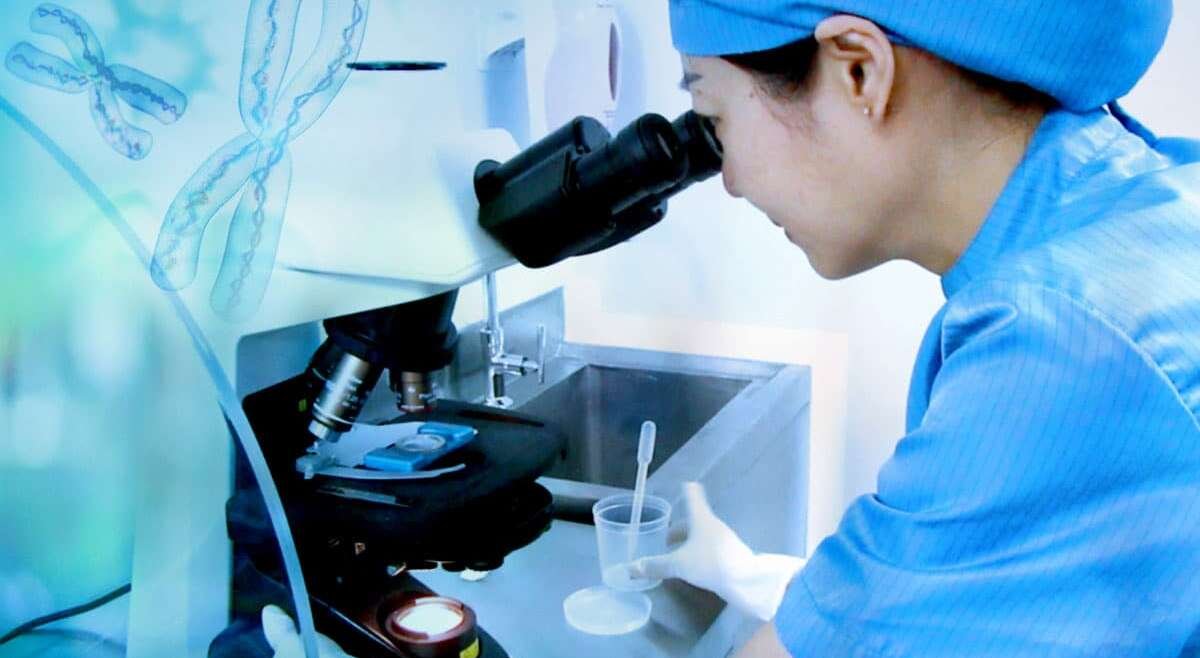 Preimplantation Genetic Testing (PGTA)